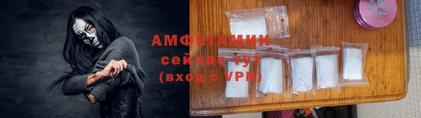 шишки Арсеньев
