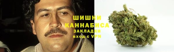 твердый Аркадак