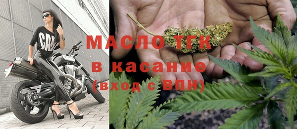 шишки Арсеньев