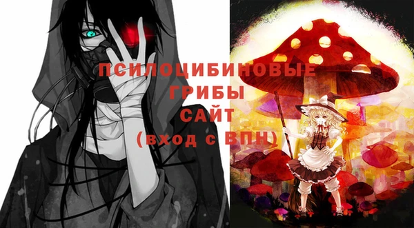 твердый Аркадак
