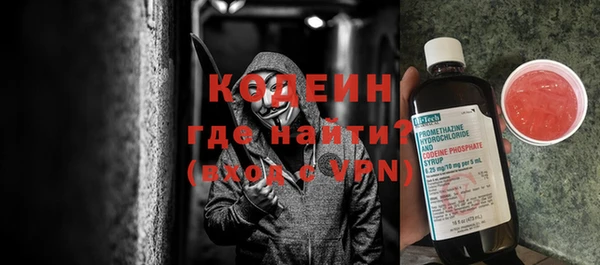 шишки Арсеньев