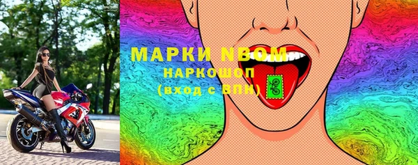 шишки Арсеньев