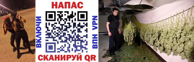 купить закладку Суджа Марихуана AK-47